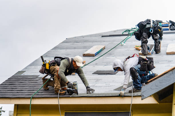 Professional Gutter Installation technician working in Mentor, MN