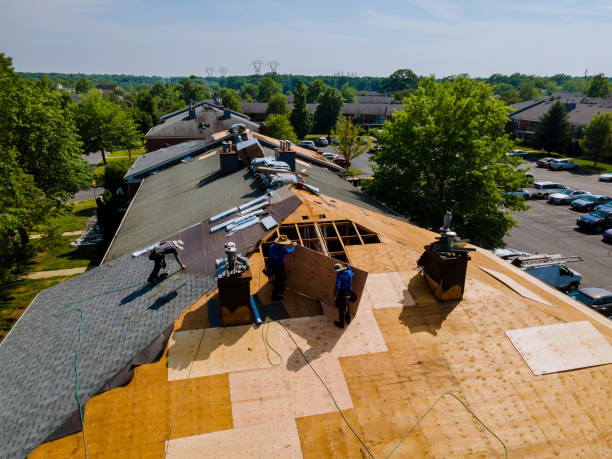 Trusted Roof Replacement service in Mentor, MN - Brentwood Metal Roofing